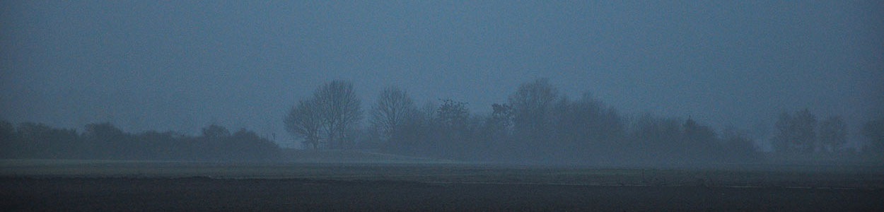 42Medien Blog